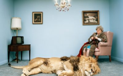 I tratti di Personalità nella Scelta del Viaggio